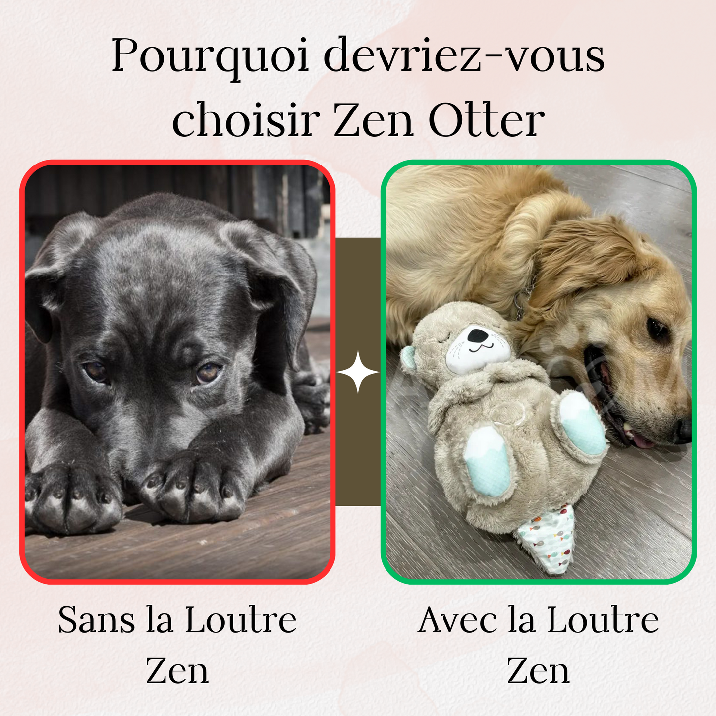 LA LOUTRE ZEN - le compagnon relaxant