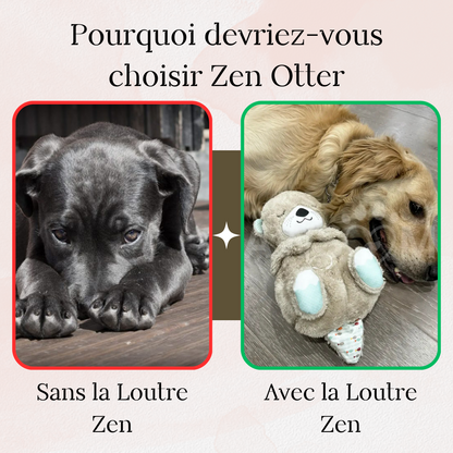 LA LOUTRE ZEN - le compagnon relaxant